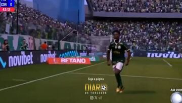 El último gol de Endrick que explica el porqué encajaría en el Madrid a la perfección