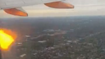 Un p芍jaro provoca un incendio en un avi車n y obliga a un aterrizaje de emergencia en Estados Unidos