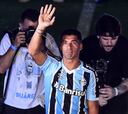 Luis Suárez es presentado como nuevo jugador de Grêmio en Brasil