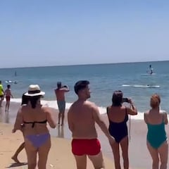 La sorprendente aparición en una playa de Huelva: “¡Es enorme!”