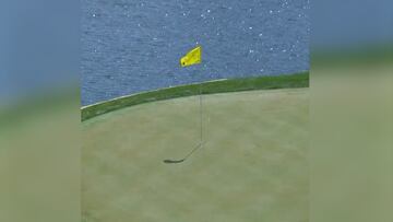 Uno de los golpes del año: vean el impresionante hoyo en uno de Alex Smalley