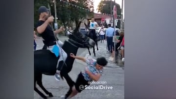 El momento en que una señora es atropellada por un burro en Cantabria