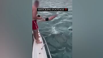 Man fined after video shows him bodyslamming orca in New Zealand; he could have died