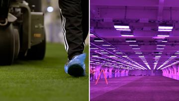 Los cuidados extremos del césped del Bernabéu en el hipogeo: “Hay que desinfectar la ropa”
