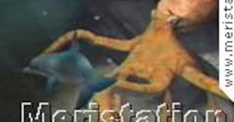 Virtua Fighter 3: Team Battle