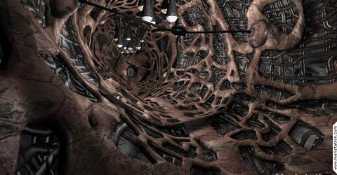 Operation: Matriarchy