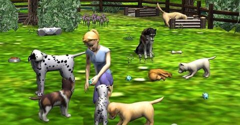 Mi hotel para mascotas