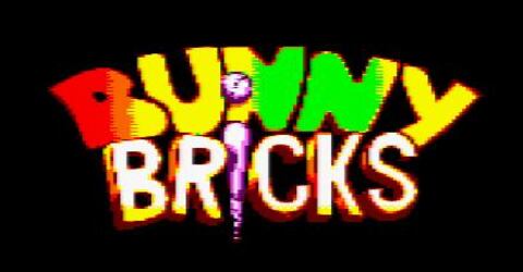 Bunny Bricks