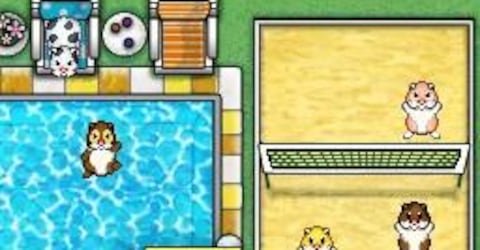 Zhuzhu Pets: Los Amigos del Bosque