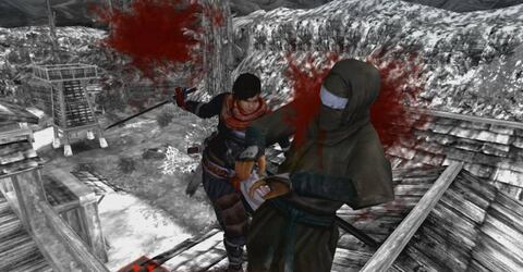 Shinobido 2: Revenge of Zen