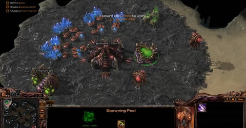 StarCraft II: Heart of the Swarm
