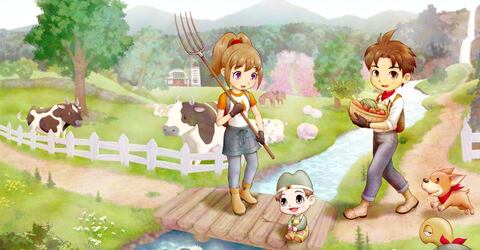 Story of Seasons: A Wonderful Life