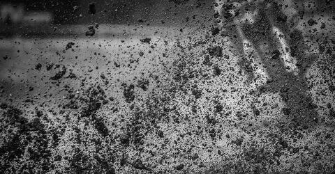 MXGP: The Official Game