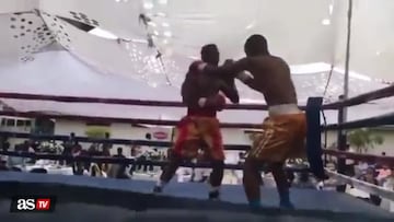 How many professional boxers have died in the ring?