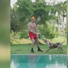 Un pitbull muerde en la zona más dolorosa al youtuber Logan Paul