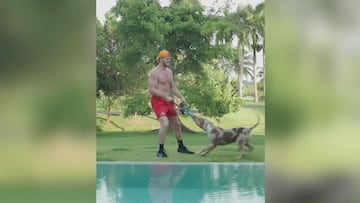 Un pitbull muerde en la zona más dolorosa al youtuber Logan Paul