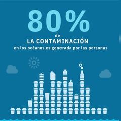 ONU: 11 millones de toneladas de plástico terminan en el mar