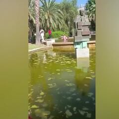 Intenta ahogar a una mujer en una fuente de Valencia: detenido por homicidio en grado de tentativa