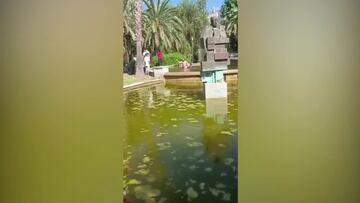 Intenta ahogar a una mujer en una fuente de Valencia: detenido por homicidio en grado de tentativa