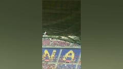 Ratas en el Spotify Camp Nou