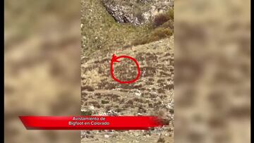 ¿Real o fake? Pareja en Colorado afirma haber visto a Bigfoot desde un tren