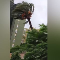 El vídeo más viral del temporal de ayer: los comentarios de la señora que graba son oro