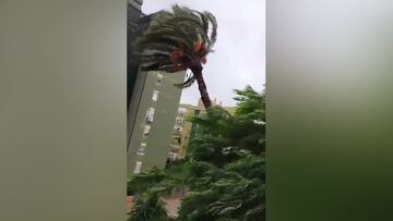 El v¨ªdeo m¨¢s viral del temporal de ayer: los comentarios de la se?ora que graba son oro