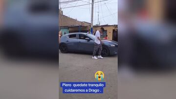 ¡Intenta no llorar! Así se despidió Piero Quispe de su mascota antes de viajar a México