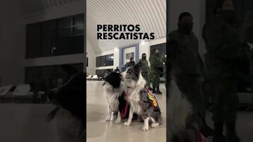 Las imágenes de los rescatistas mexicanos rumbo a Turquía