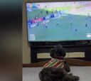 El video viral de un perro que festeja el gol de su equipo en la T.V.