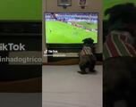 Perro fanático del Fluminense de Brasil se vuelve viral por festejar sus goles