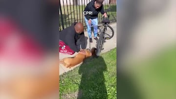 Un hombre salva la vida de un perro haciéndole el boca a boca