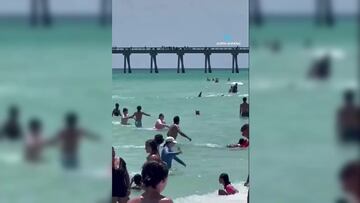 Así huye la gente de un tiburón en las playas de Florida, el video se hizo viral
