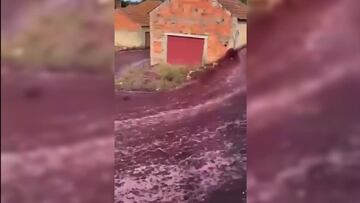 Están leyendo bien: un río de vino tinto inunda las calles de un pueblo en Portugal
