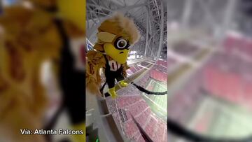 ¡Sin miedo a nada! La mascota de los Falcons, la más temeraria de la NFL