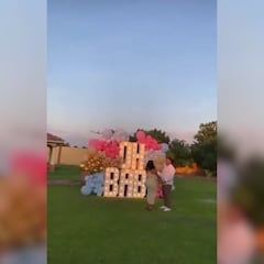 Una pareja contrata una avioneta para revelar el sexo de su bebe y el piloto tiene un accidente