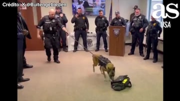 Sorpresa en el retiro de un Perro Policía