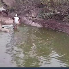 Frank de la jungla es atacado en directo por un animal: “A punto de morir”