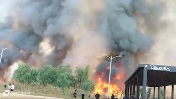 Vídeo: Incendio masivo en Canal Nacional, Xochimilco, en plena contingencia ambiental