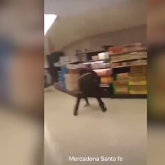 Un vigilante de seguridad de Mercadona inmoviliza y detiene a un joven que estaba robando