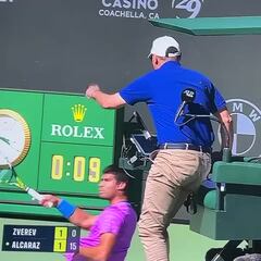 Se detiene el partido de Alcaraz por invasión de abejas: esto es lo nunca visto