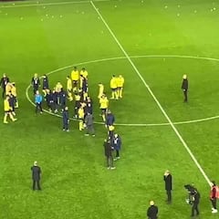 Escándalo en Turquía: aficionados invaden el campo y se desata una batalla campal con los jugadores del Fenerbahçe