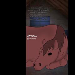 Despiden a Elena Larrea con un emotivo video animado