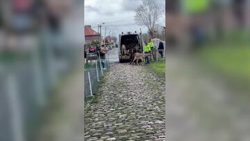 Alaphilippe se prepara para el Tour de Francia... ¡cargando con su hijo!