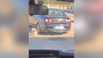 Indignaci車n nacional por este v赤deo de un perro atado a un coche en marcha en Le車n
