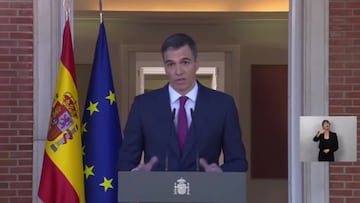 El grito que se ha escuchado en Moncloa nada m¨¢s decir Pedro S¨¢nchez que no se va