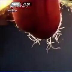 El viral desliz de una televisión mexicana durante la emisión del eclipse solar que nadie se explica