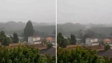 Un rayo destruye un árbol gigante de 33 metros en Francia