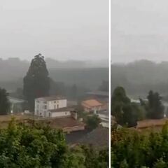 Un rayo destruye un árbol gigante de 33 metros en Francia