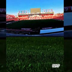 Xolos de Tijuana estrenará nueva cancha sintética en el Caliente